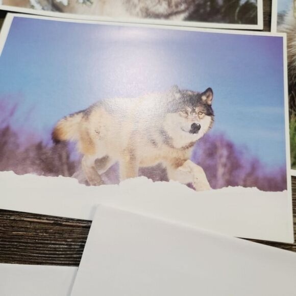 Defenders of Wildlife Gray Wolf Canis Lupus Blank Notecards - Picture 4 of 9